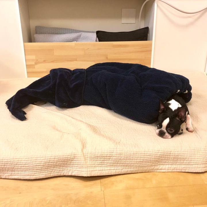 6db03911 8014 4642 a2a2 95e03fa31773 1515633261587