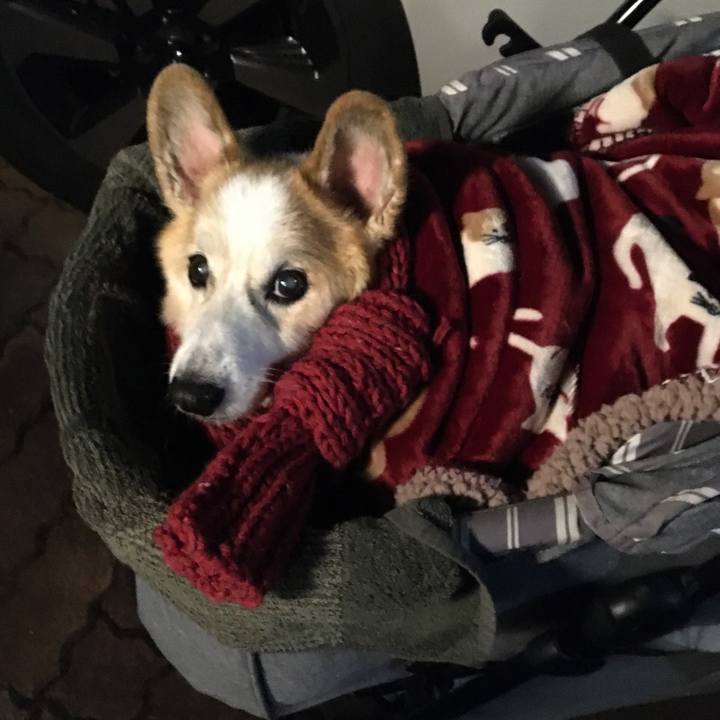 6db040cf ffac 441f 8483 77db086a56d9 1579613709139