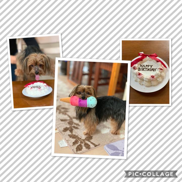 6db04572 ee96 4c85 9a91 a7548432e96c 1539148884648