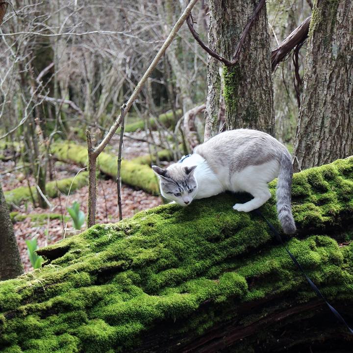 6db046a1 3b92 4d63 a465 041e7908f22b 1620259773641