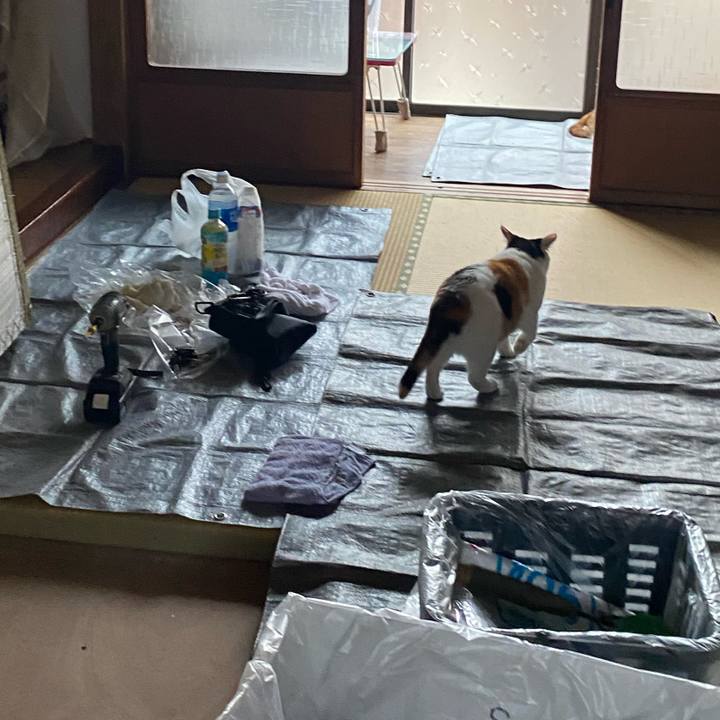 6db054cb 7ed0 4043 87b0 f19e3c29e0da 1721983300267