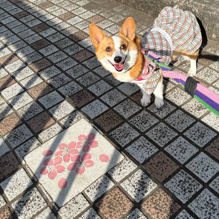 6db06016 ebe5 4fc9 9be7 e6aee7836112 1772359348959