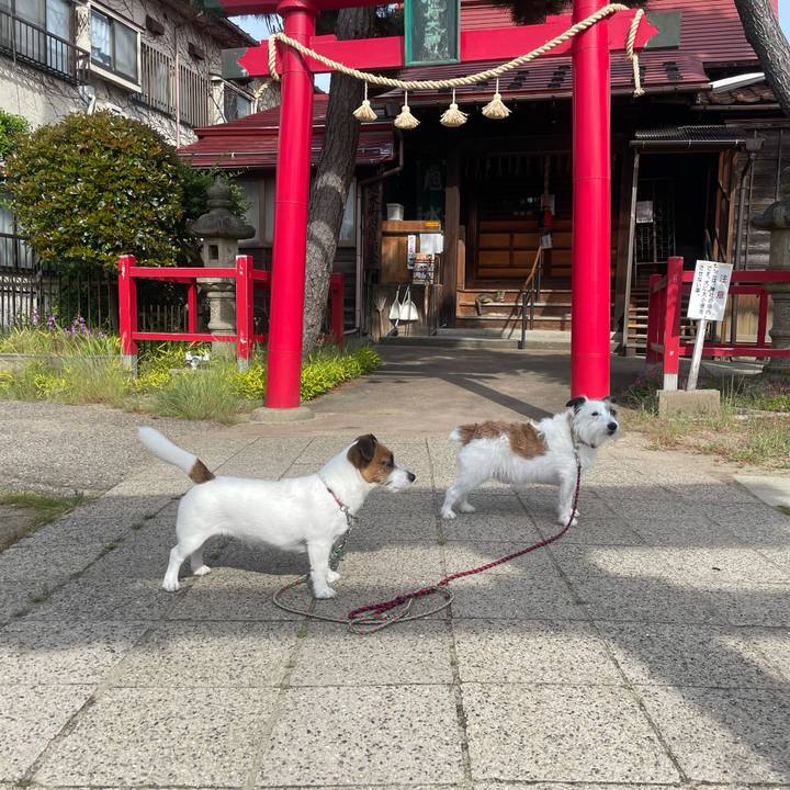 6db07d7f 4b6a 4ab1 88a9 43cfddbace93 1716679625726