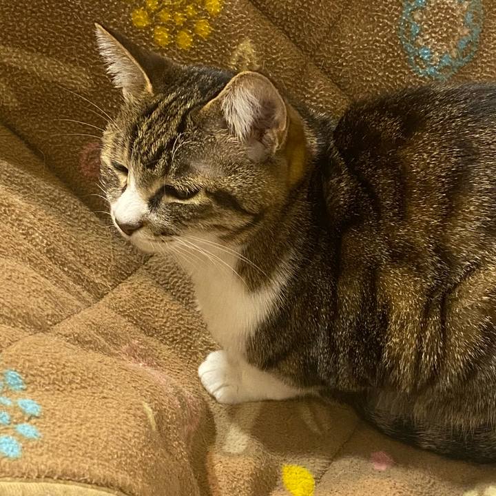 6db08fd8 b6c1 4001 81f1 392e532361ea 1646409037065