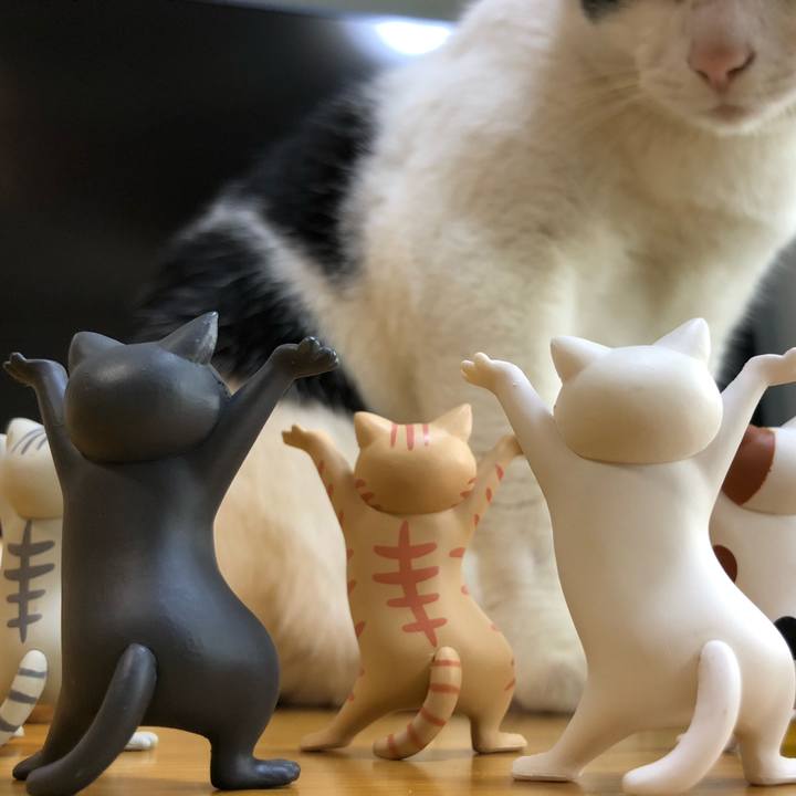 6db0c3cb 97a9 466e 9a33 5b176dcf0076 1588473053413