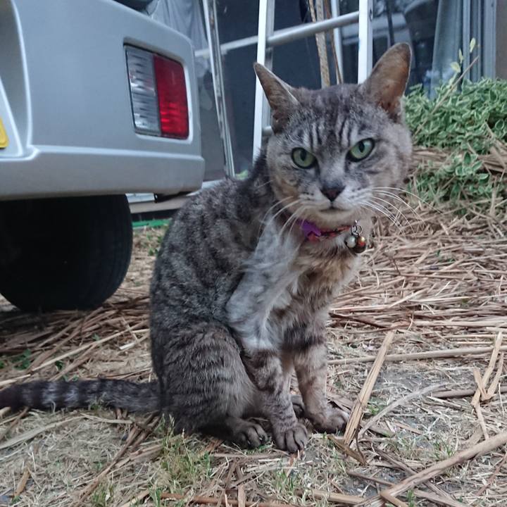 6db12ab0 958e 44de 9b95 193ca44d7aef 1591869369634