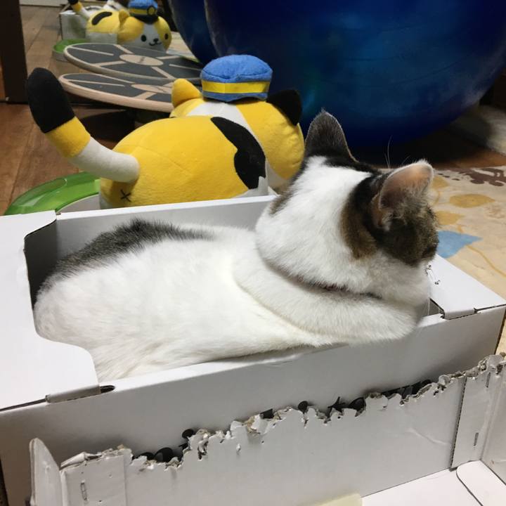 6db135d9 9d46 4324 8ddf 3c3f36badd56 1512826883673