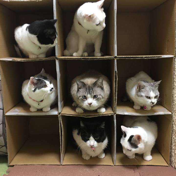 6db1ad7d 566e 493b b868 6d0570130656 1566206744714