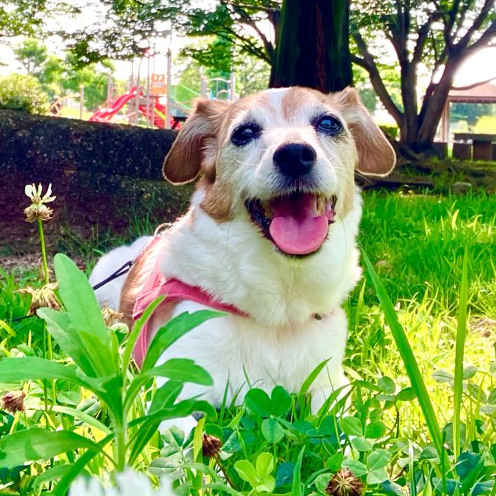 6db1b075 451b 450d ad69 93621a5e6f0f 1756997503376