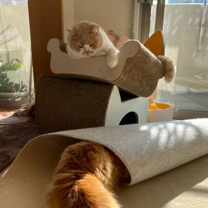 6db1d3b9 9e06 4779 90f4 acd6f5cbbb20 1605593140694