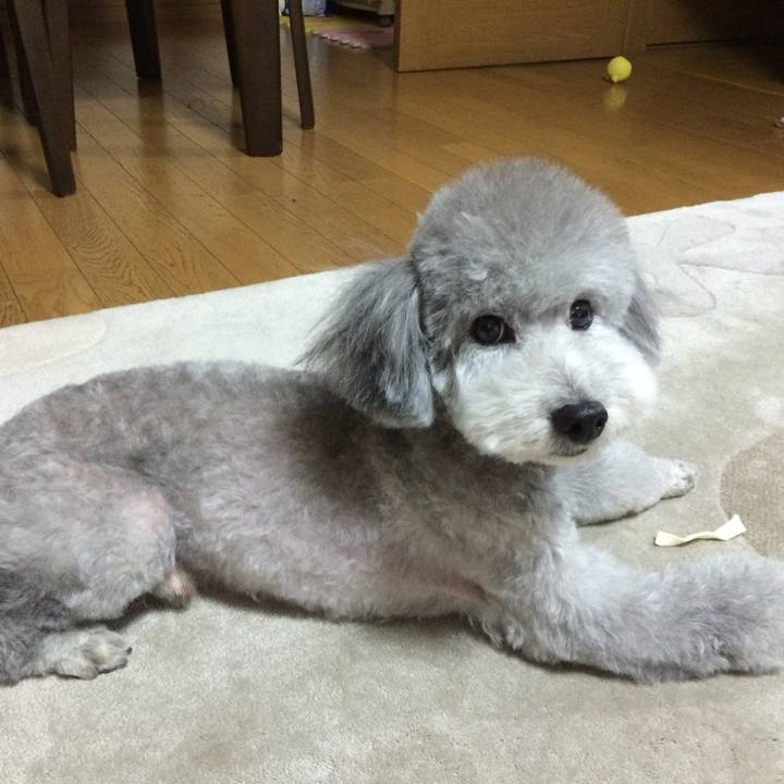 6db1e8df 6f88 4d71 9d24 55f1ff56221e 1772496752687