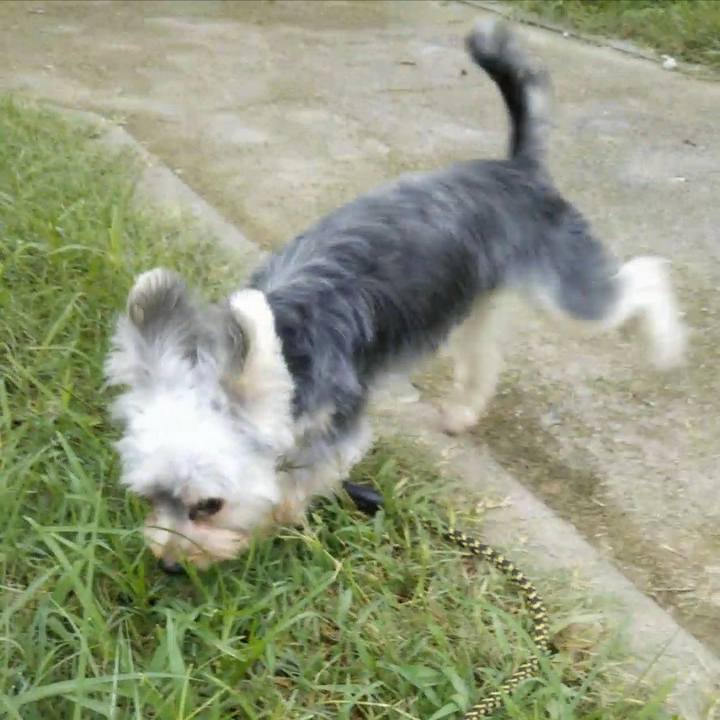 6db21cfd 4aca 4918 b7cc 192d03900594 1539948269266