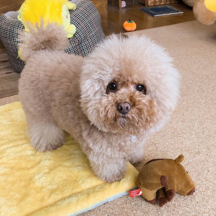 6db2547b ee29 429f afd0 11baf789ec8c 1552729454349