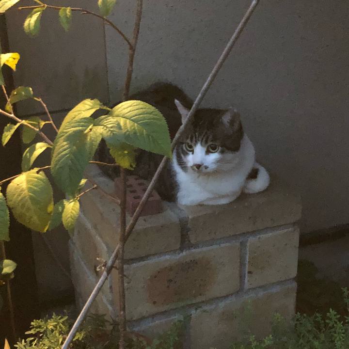 6db26592 17ab 4819 9550 e88b1be46175 1535454617794