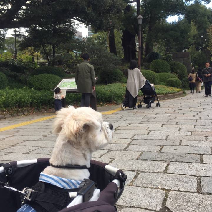 6db27ebd ed7c 4285 ad7e 2c0482c5591f 1510396917797