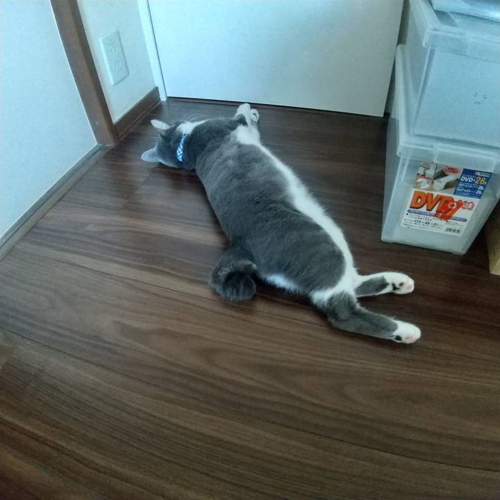 6db29ee3 ba75 4933 a80c 12e683926c81 1597968861851