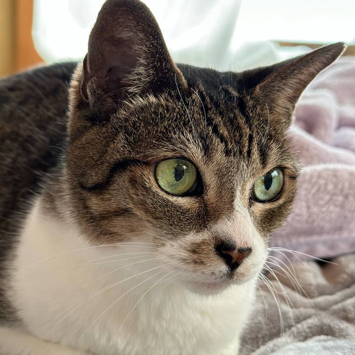 6db2c225 6207 4abc bad3 3e24c3bea1da 1666747777664