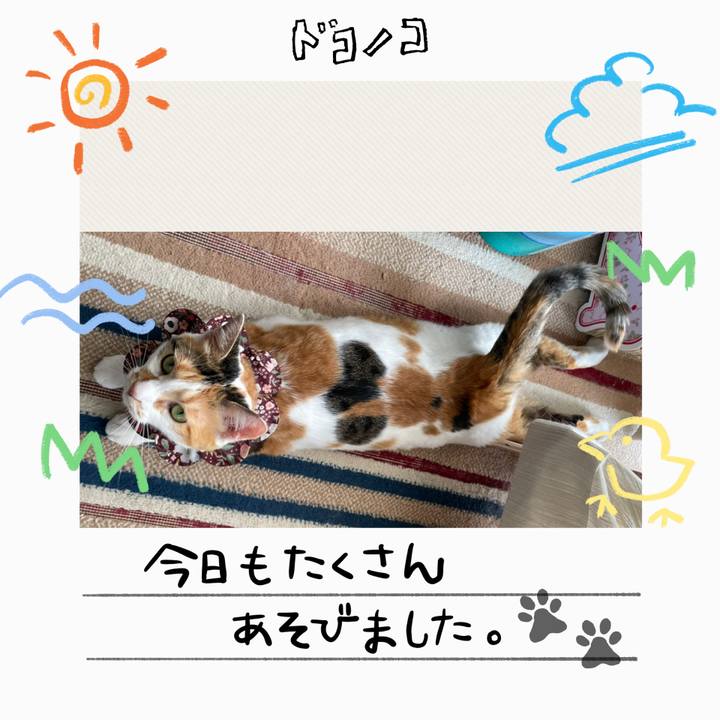 6db2c733 d6cc 47eb b47a 691a1477bb8d 1755168779394