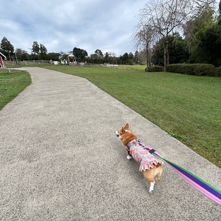 6db2dff6 cb72 43b7 9a9a 37e211a63351 1760341711621