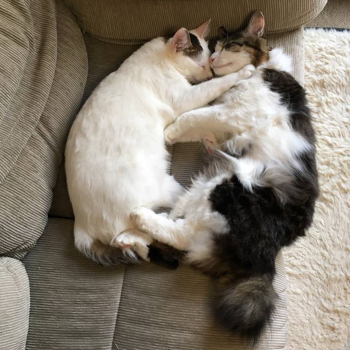 6db2eca7 9434 4083 874f 2ec501574bdb 1509624000606