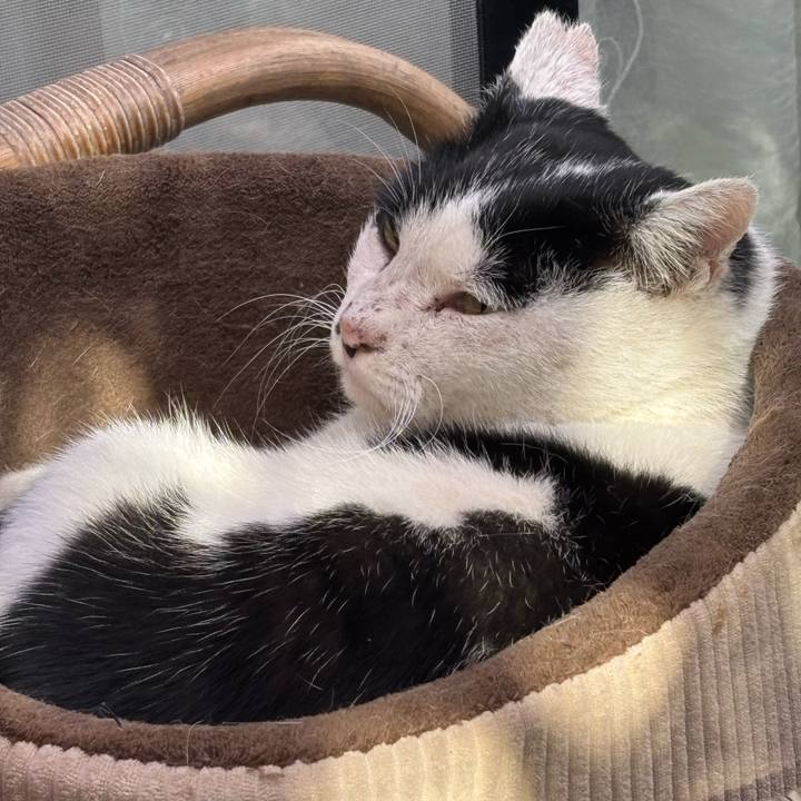 6db33d6a 886c 4633 8482 c07c3ef0e97b 1766618334304