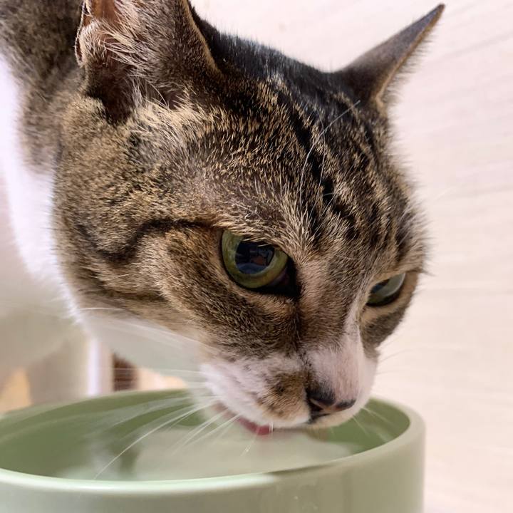 6db37ec2 726c 4c07 b438 356701d7c418 1567127346360