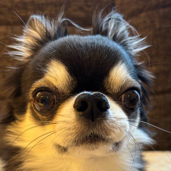 6db385b5 48c4 4505 a0a0 3a3f31e08d3a 1740784887569