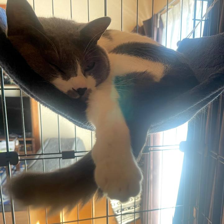 6db38a32 d284 4afb b149 d2c406a62d92 1635223160289