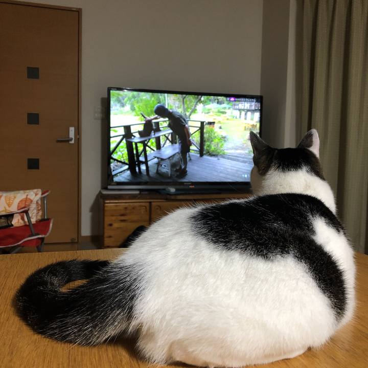 6db3fa58 16bb 4327 b0d5 d5e26623d599 1633442394429