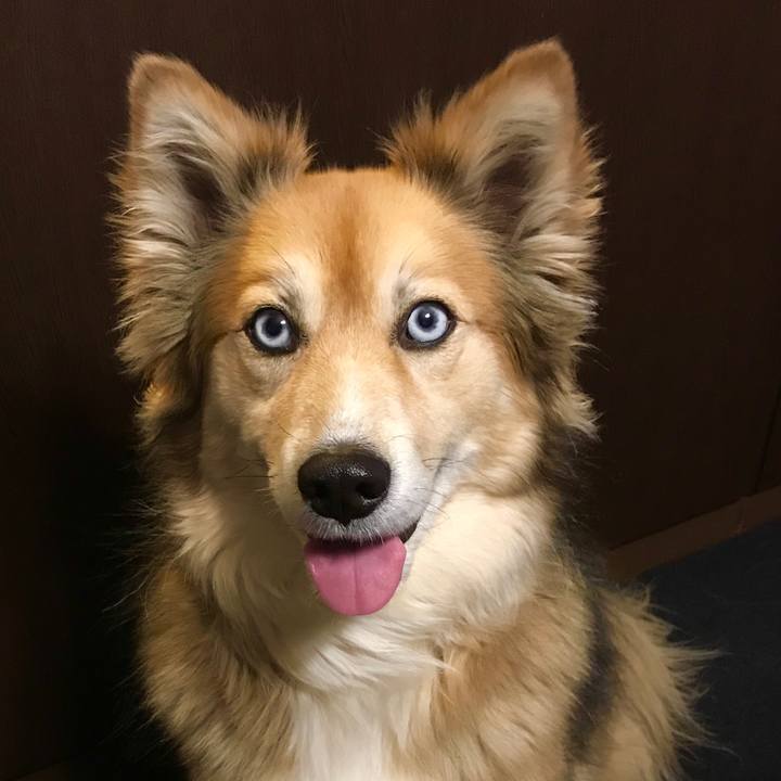 6db40393 5133 45d0 befa f67869dff131 1520067166568