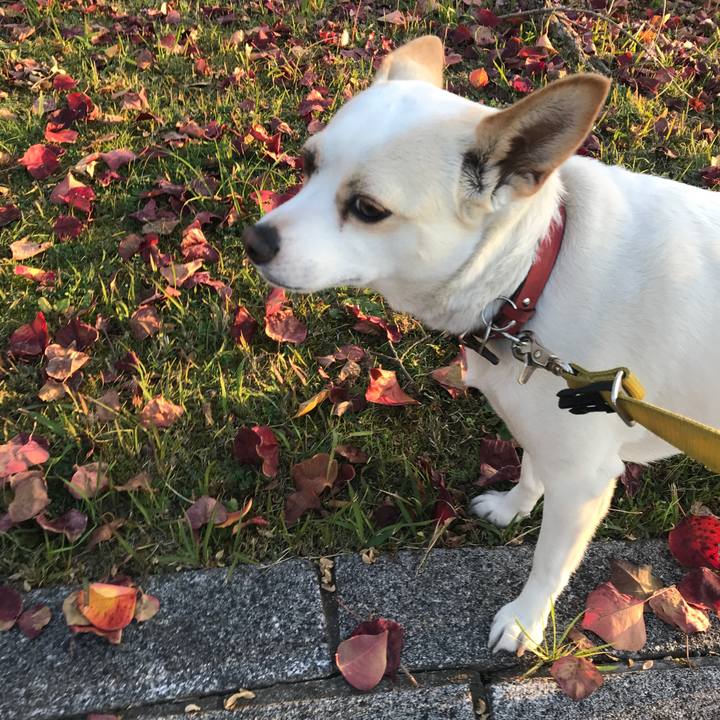 6db42782 fe62 498d 9669 75ae8e953ff0 1574496833382