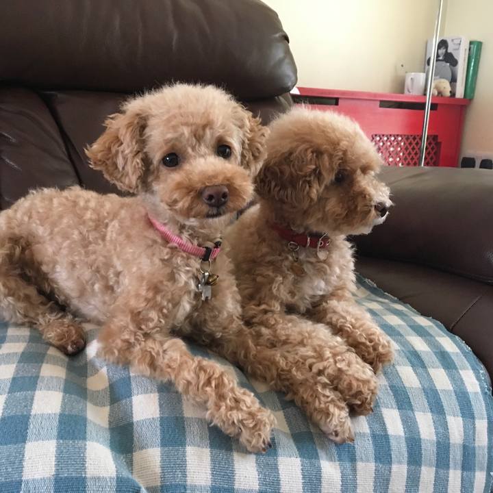 6db42e0f 0908 42df b5c8 38b4aad653ba 1508451072402