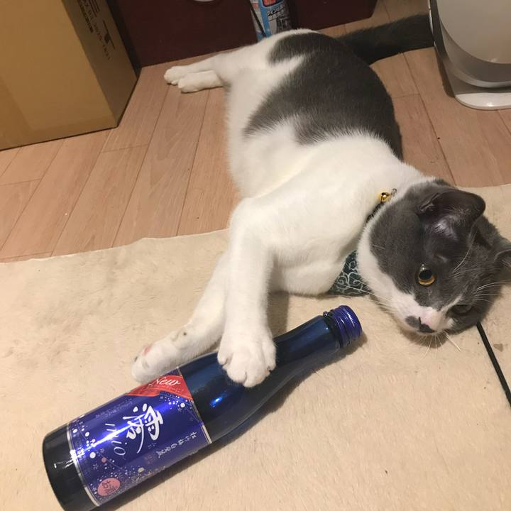 6db4305d 4d29 46e3 9967 6c76ba266a68 1702463197063