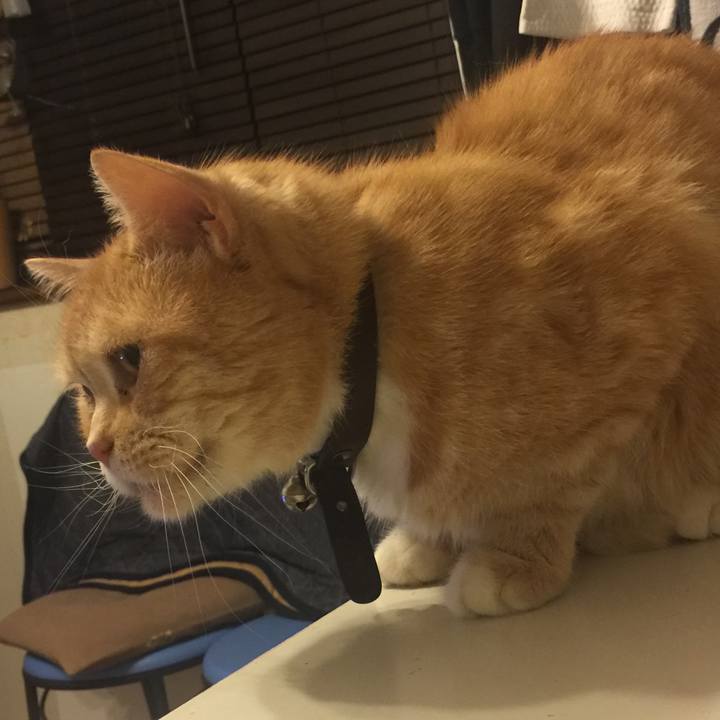 6db456c4 db51 492d bc54 d75f6d0ddc51 1555943144623