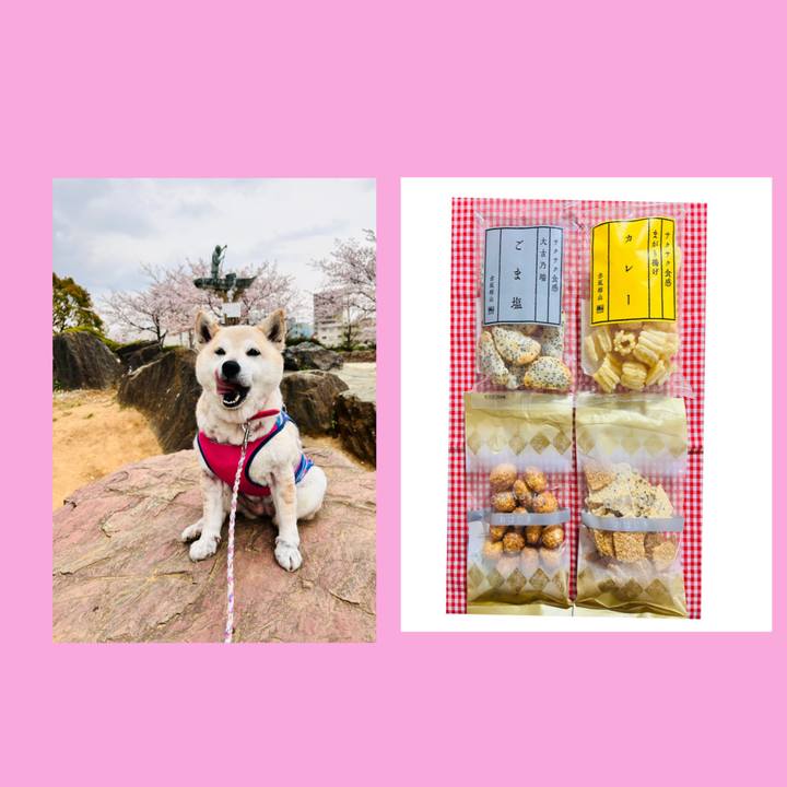 6db45843 c922 44de ad68 e0e5cc858535 1744289692315