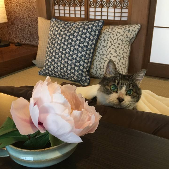 6db488f3 3fe0 4642 8291 b348220e8ea5 1525585822198