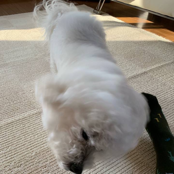 6db48f80 c000 452a 85ff 76acf224686d 1553468526989