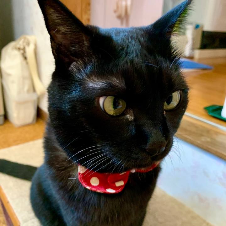 6db49168 3fee 477e b8d6 a0d87ac42659 1598684253709