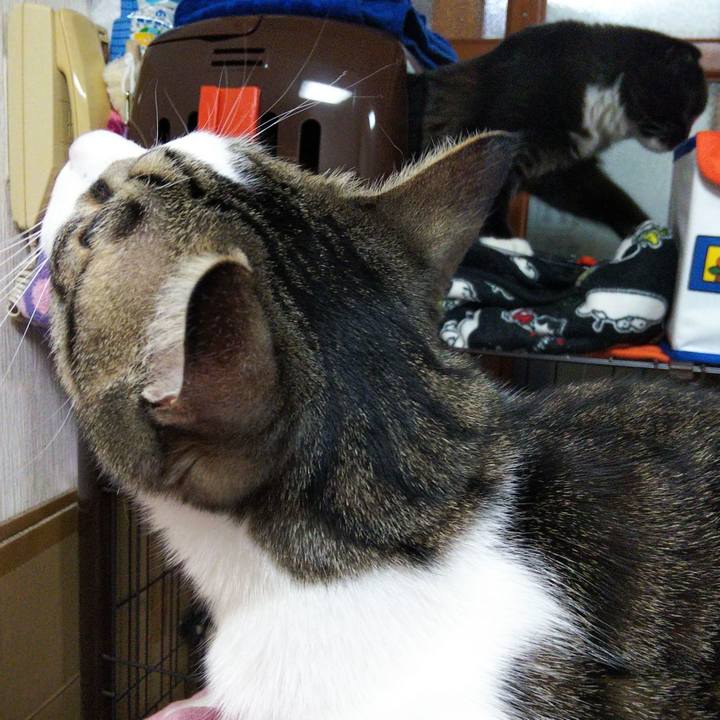 6db4bc41 7005 4475 92e9 af64fc53beb6 1646019221562