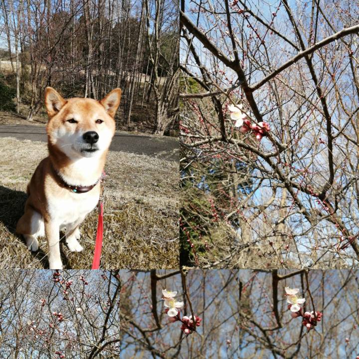 6db4c2ec 374d 4f29 8c20 64db774218b4 1614154970201