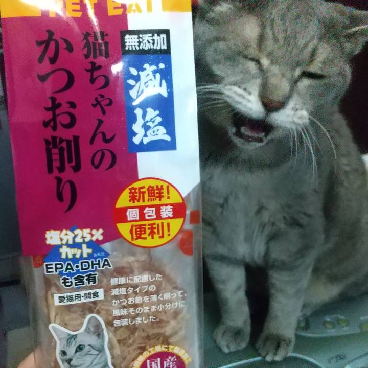 6db5083a ddb3 4115 9628 2043d6c8e423 1660380992027