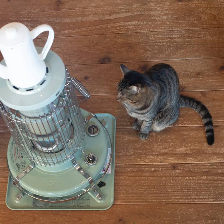 6db53024 47c2 431e bac6 2afb57e86d03 1738110371691