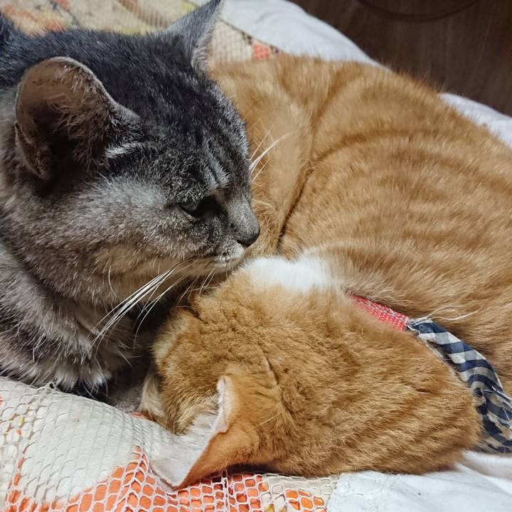 6db5398e b7f6 4926 8948 fbb6eebf12f9 1574426540820