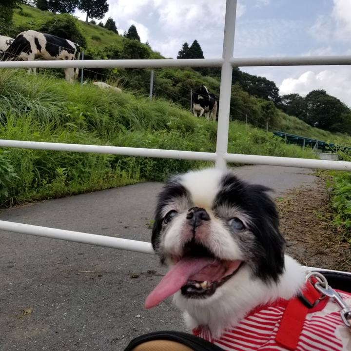 6db57cbe 7695 40b6 8d29 60a5039facc1 1567237057309