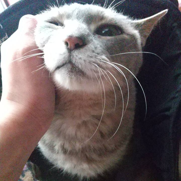 6db5ebf8 60ef 4589 9d4b 6e63e0ea9e58 1619649075337