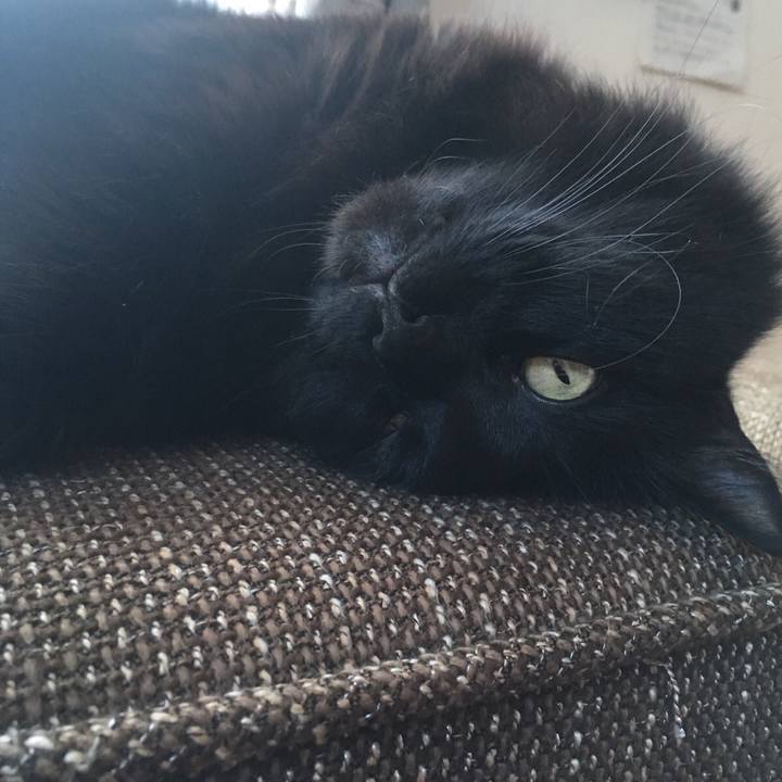 6db5f370 4925 4aad 8bab 2c66434b29da 1518516017730