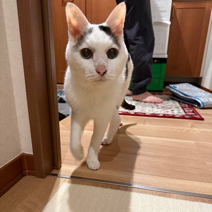 6db65fb3 afb0 44a2 a4bb afb483ef9572 1763441164432