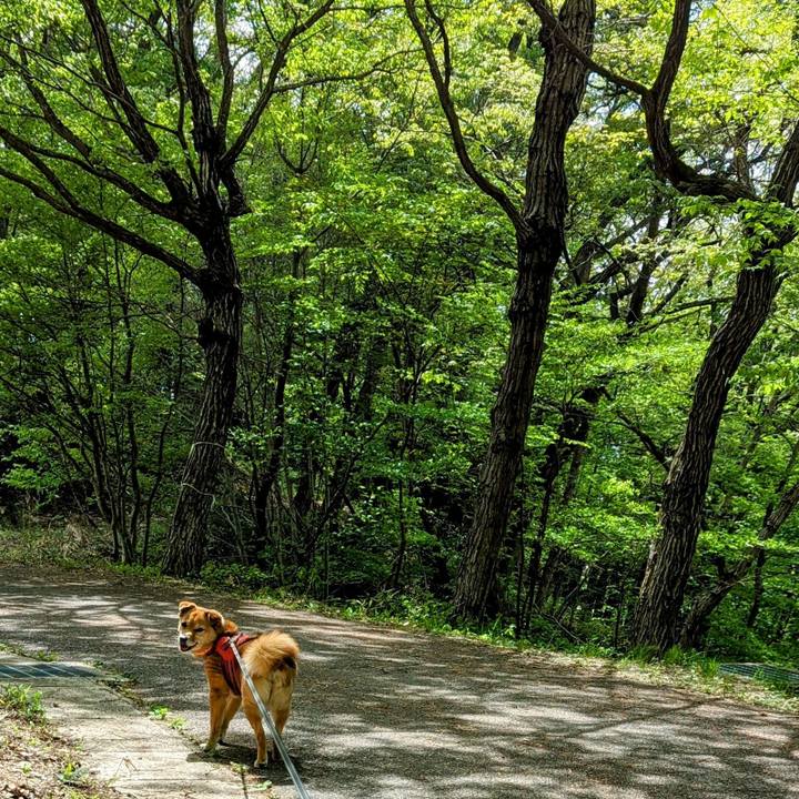 6db6706e 27dd 4fe4 ace2 f8629ff8ef1d 1714401170442