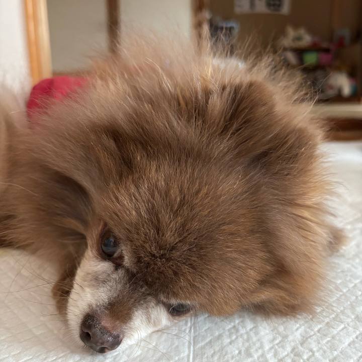 6db6aade 3d9c 4acb ba9a 9e25a6853c0c 1769915820704