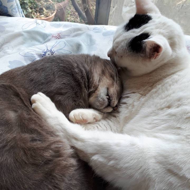 6db6ce73 aa17 4945 a5fa 46d835eb140c 1545958803270